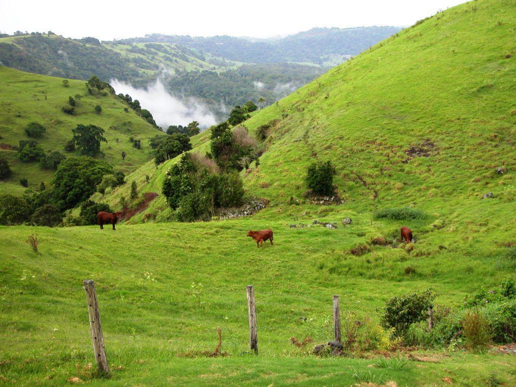 Top Of The Hill Малени Экстерьер фото